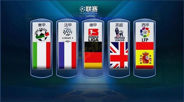 了中国羽毛